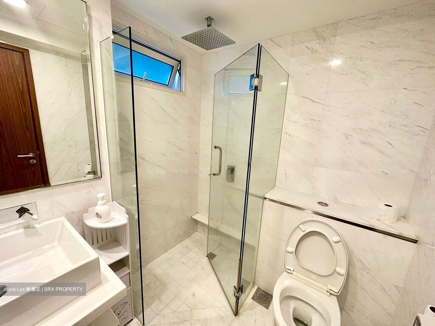 Suites At Orchard (D9), Apartment #484177571